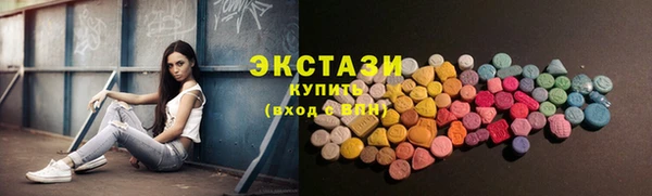 mdpv Богородицк