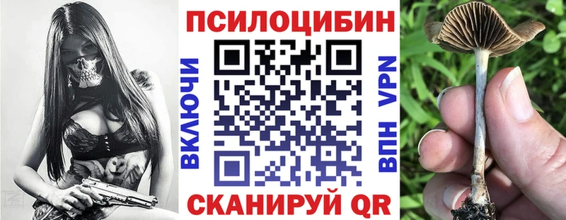 Галлюциногенные грибы Magic Shrooms  Мосальск 